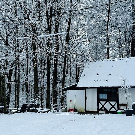 Romantyczna Chatka Pisarzowice  Eksteriør billede