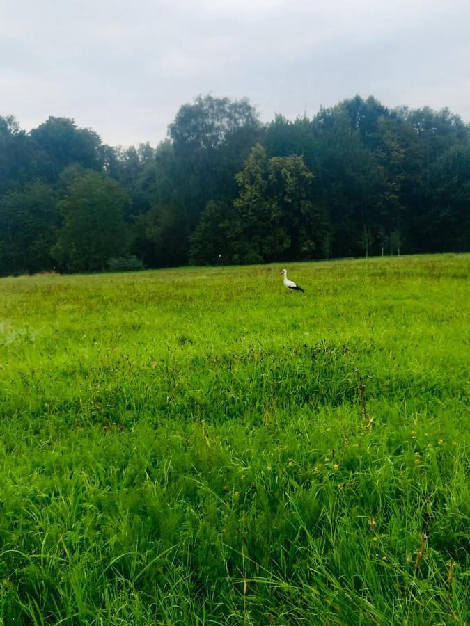 Romantyczna Chatka Pisarzowice  Eksteriør billede