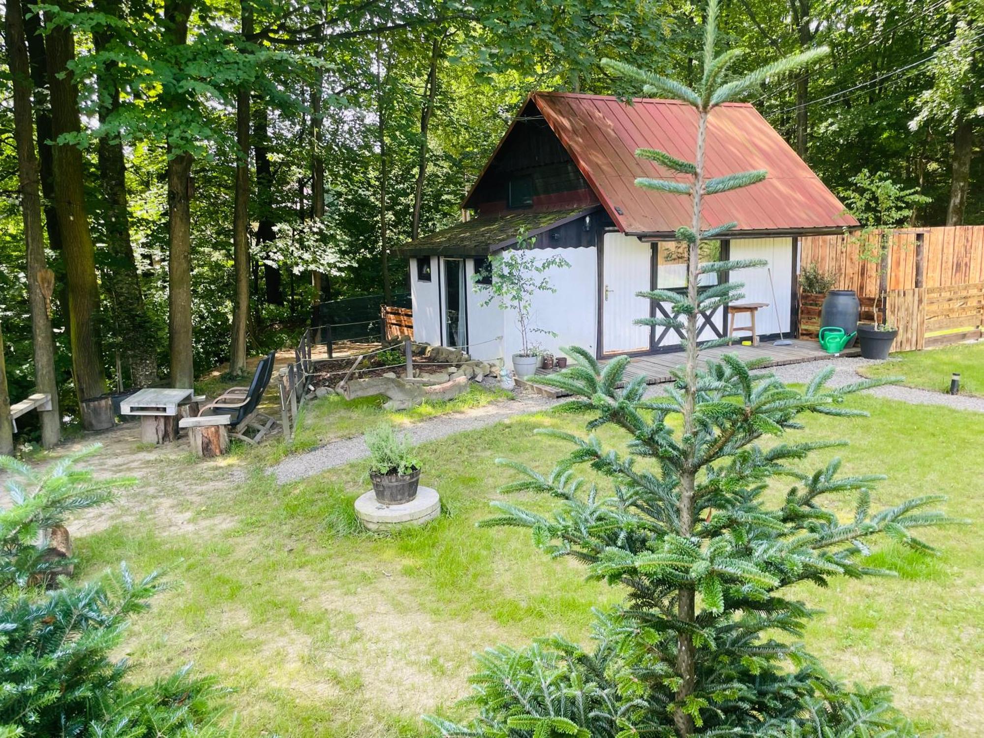 Romantyczna Chatka Pisarzowice  Eksteriør billede