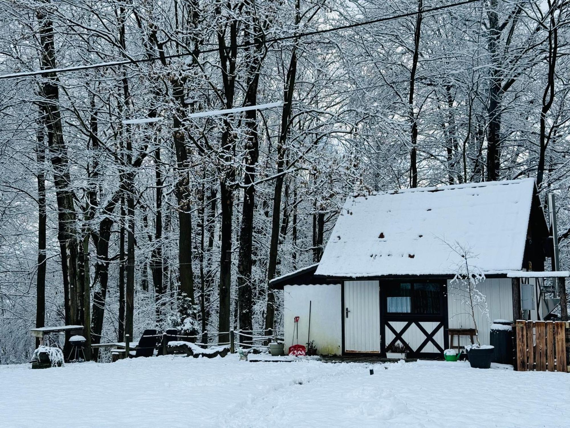 Romantyczna Chatka Villa Pisarzowice  Eksteriør billede