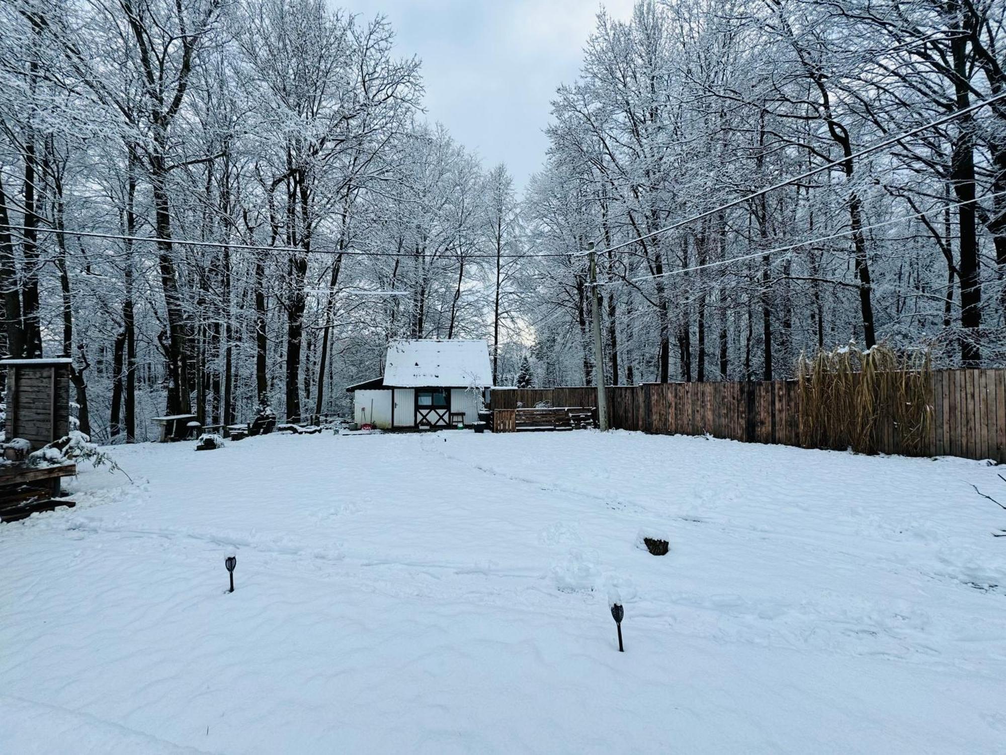 Romantyczna Chatka Villa Pisarzowice  Eksteriør billede