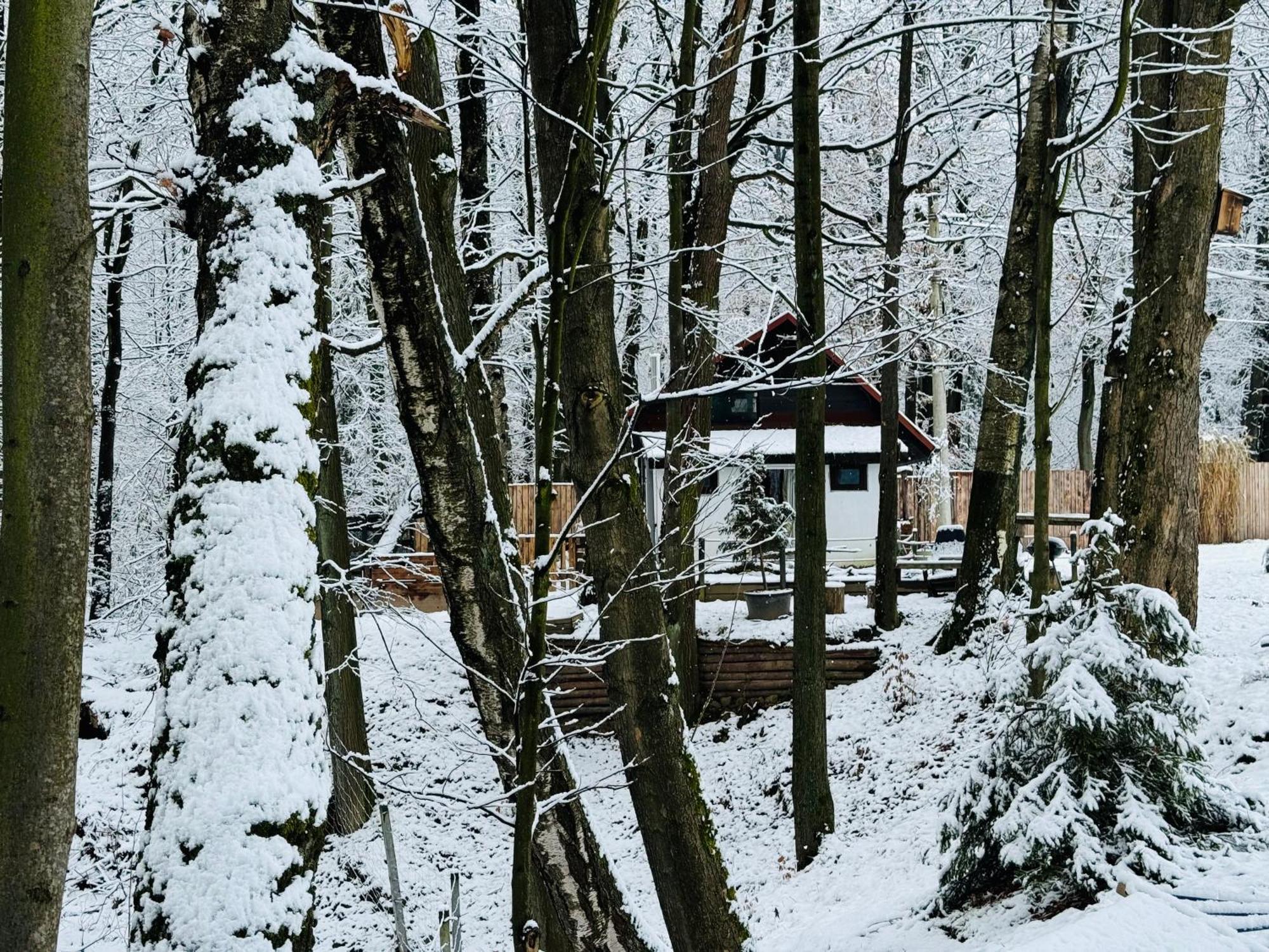 Romantyczna Chatka Pisarzowice  Eksteriør billede